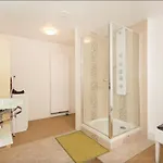 Petite Venise Grand Duplex Turenne Hyper Centre Colmar