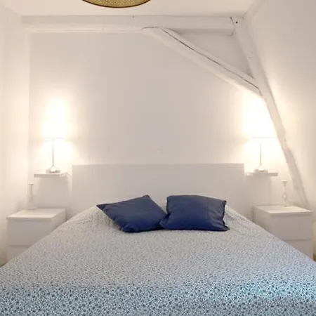 Dom wakacyjny Petite Venise Grand Duplex Turenne Hyper Centre Colmar