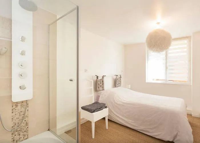 Petite Venise Grand Duplex Turenne Hyper Centre *