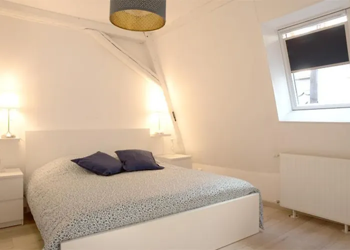 Petite Venise Grand Duplex Turenne Hyper Centre